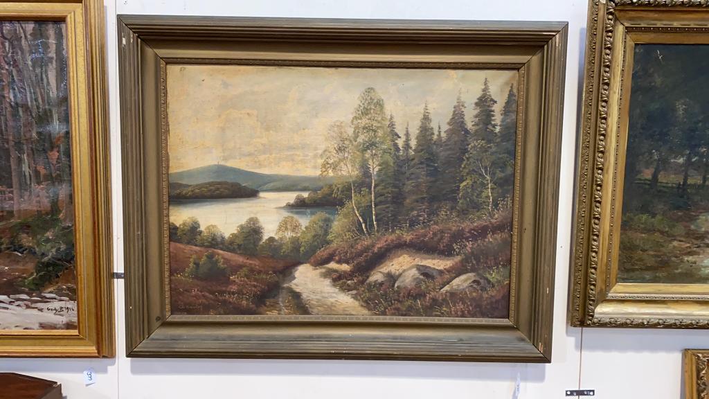 OIL PAINTING ON CANVAS OF MOUNTAIN SCENE: 35" X 26"