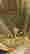 item-112301365=11