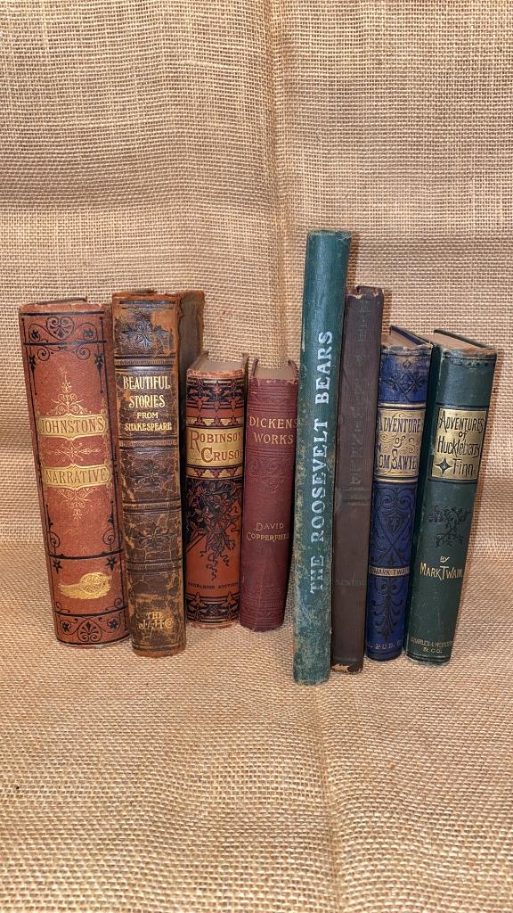 8  ANTIQUE BOOKS ~ HUCKLEBERRY FINN 1ST EDITION 1885 (1 of 14)