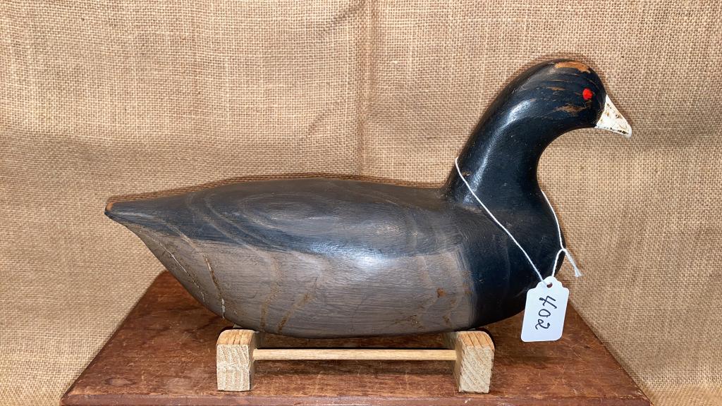 GARY CROSSMAN COOT DECOY: ~
