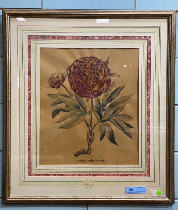 FRAMED EARLY FLORAL PRINT SIGNED BESLER (1 of 3)