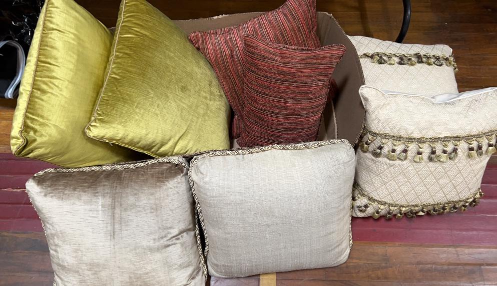 VARIOUS QUALITY DECORATOR PILLOWS (1 of 4)