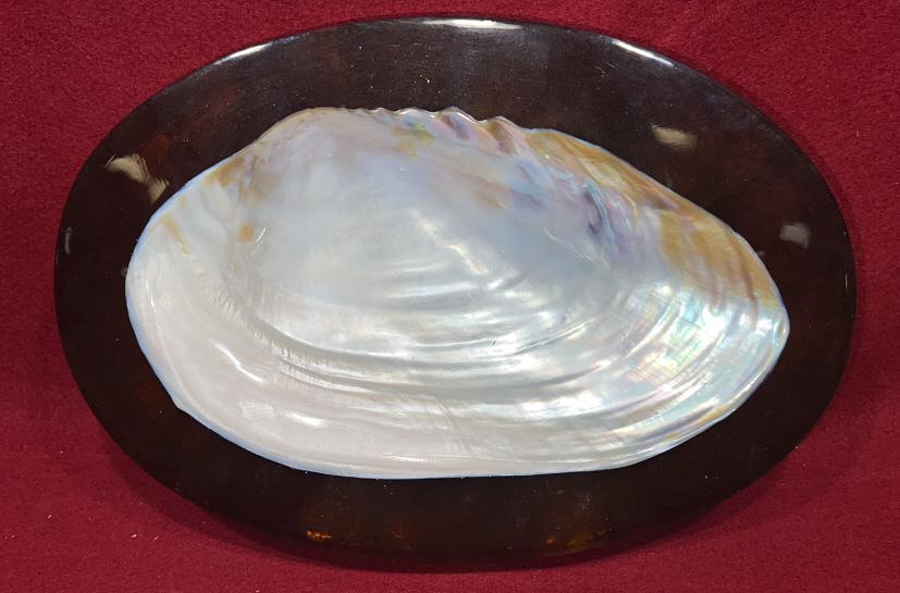 ACRYLIC SHELL DISH (1 of 4)