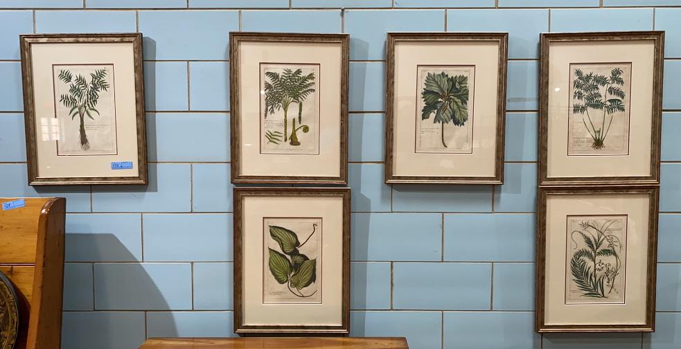 SET OF 6 FRAMED EARLY BOTANICAL PRINTS (1 of 8)