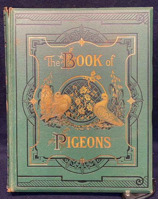 THE BOOK OF PIGEONS BY ROBERT FULTON (1 of 5)