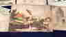 item-136798096=5