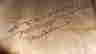 item-136798344=10