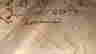 item-136798344=5