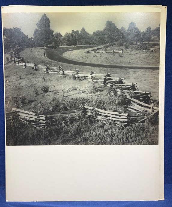 12 LARGE FORMAT PORTRAIT PHOTOGRAPHS (1 of 16)