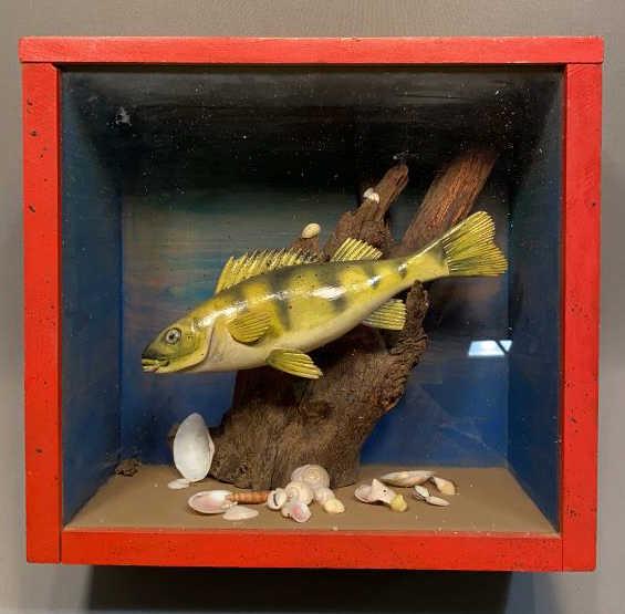 ALLEN PURNER CARVED YELLOW PERCH DIORAMA: ~
