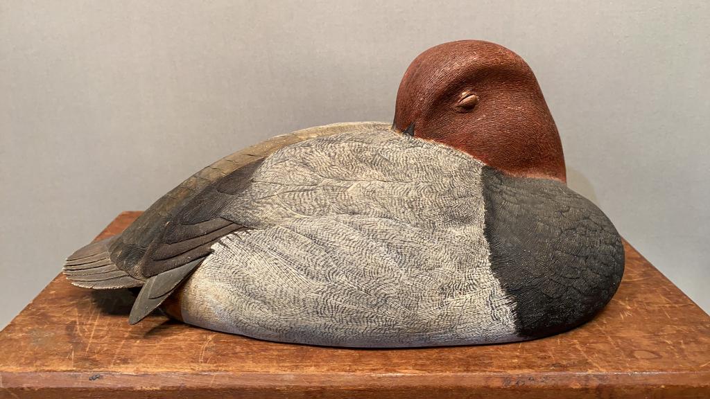 SLEEPER REDHEAD DECOY BY HOWARD ROSE: PAINTED BY BEN DIZE