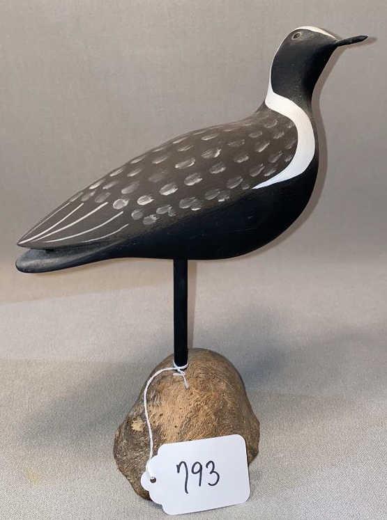BLACK BELLIED PLOVER BY RON LABER: ~