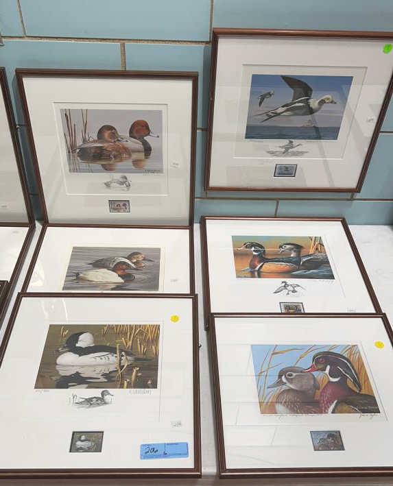 6 VARIOUS DUCK STAMP PRINTS: LOUIS FRISINO, JOHN TAYLOR, DAVID TURNBAUGH ETC.
