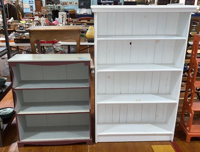 2 PAINTED BOOKSHELVES (1 of 5)