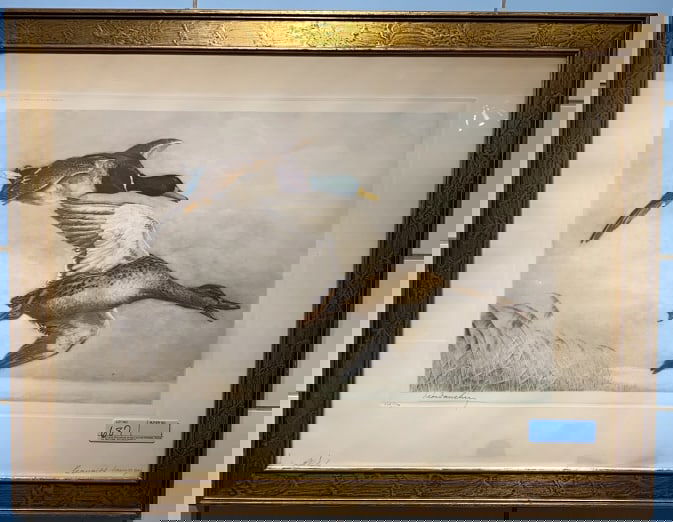 LARGE LEON DANCHIN MALLARD PAIR PRINT: 336/500