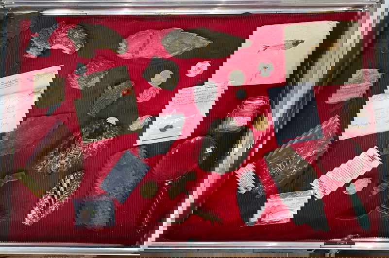 LARGE COLLECTION OF FOSSILS, MEMORABILIA &: SHOWCASE