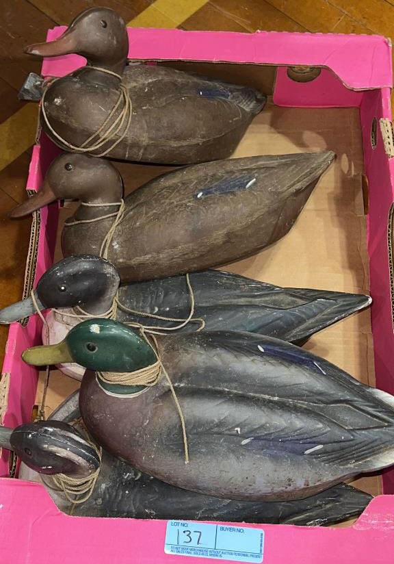 5 HERTER'S DUCK DECOYS: ~