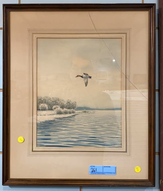 J. SUDY CANVASBACK DUCK PRINT: ~