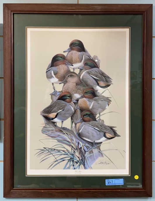 ART LAMAY GREEN-WINGED TEAL PRINT: ~
