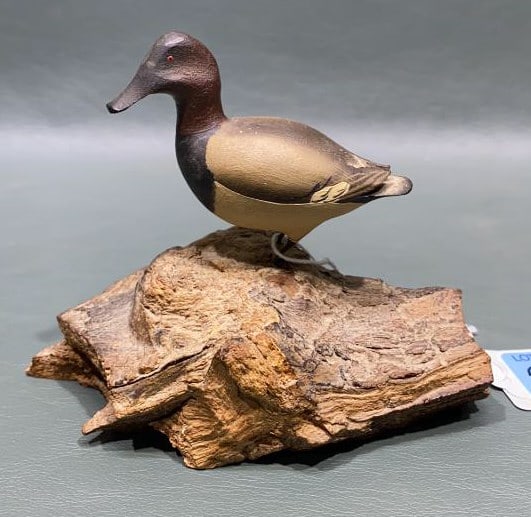 ALLAN SCHAUBER MINI CANVASBACK ON DRIFTWOOD: BY ALLAN SCHAUBER