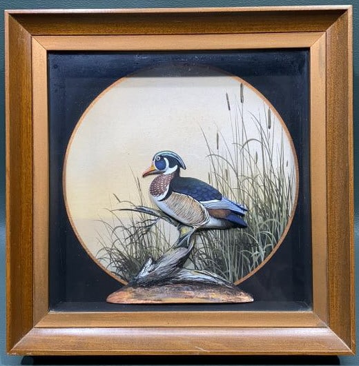 JOSEPH Q WHIPPLE WOODUCK DIORAMA: SOLD BY ABERCROMBIE & FITCH