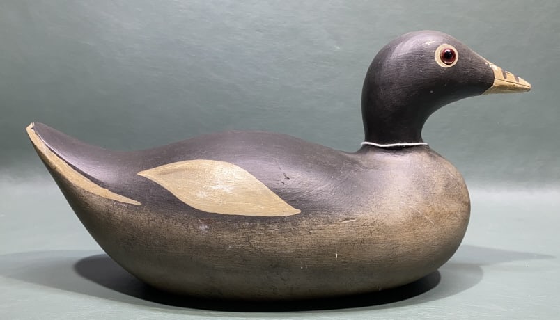 CONTEMPORARY MASON FACTORY COOT DECOY ~1982: ~