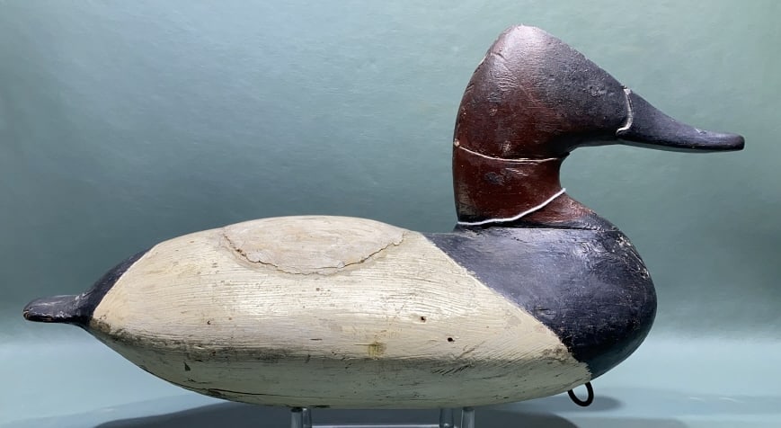 WILL HEVERIN CANVASBACK: RESTORATION AND BACK OF DUCK WAS CUT AND FILLED