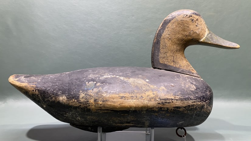 JOHN GLENN BLACK DUCK W/REPAINT: ~