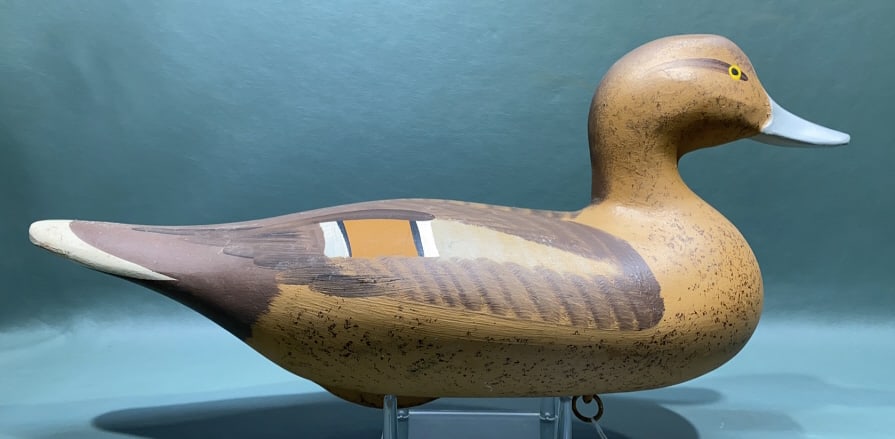BOB JOBES PINTAIL HEN: ~