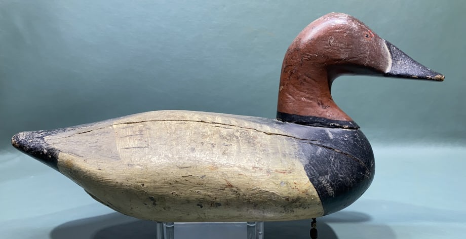 HARRY MOORE CANVASBACK DRAKE: ~