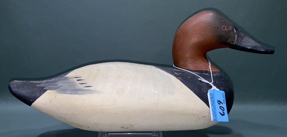 MADISON MITCHELL CANVASBACK DRAKE: ~