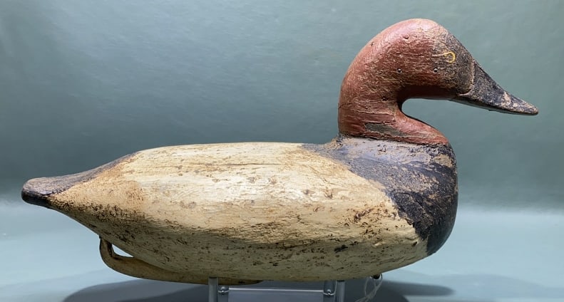 EARLY CANVASBACK DRAKE BRANDED "VANDIVER": ~