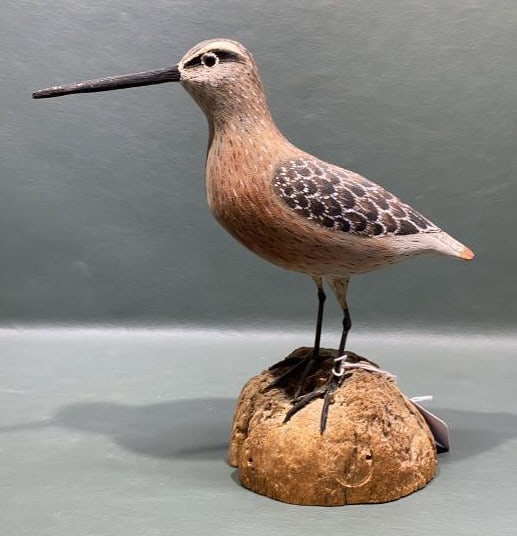 CORK MCGEE CHINCOTEAGUE VA SHOREBIRD: 9" X 9"