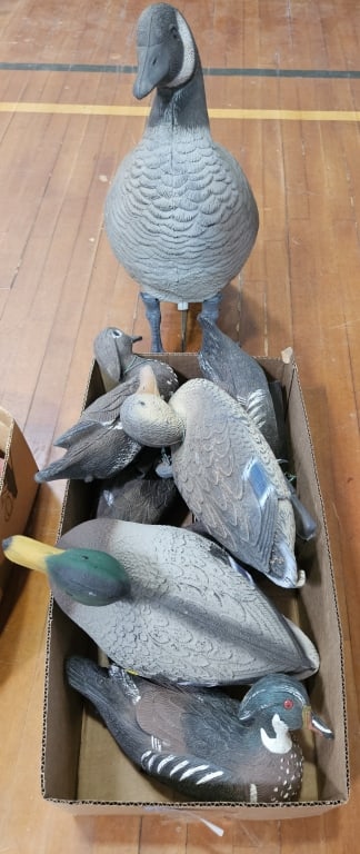 VARIOUS PLASTIC DECOYS: ~