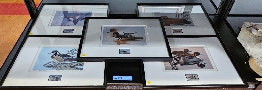 5 VARIOUS DUCK STAMP PRINTS (1 of 6)