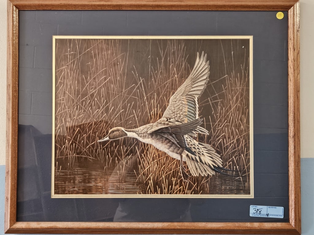 4 VARIOUS FRAMED WILDLIFE PRINTS (1 of 4)