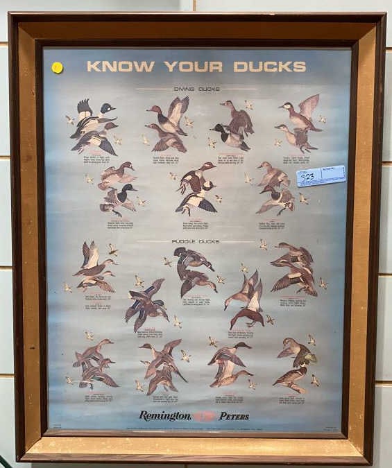 DUPONT " KNOW YOUR DUCKS " ADVERTISING POSTER: 32" X 25-1/2"
