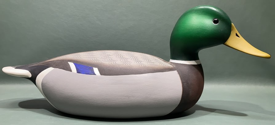 R DEDEKIND MALLARD DRAKE (1 of 4)