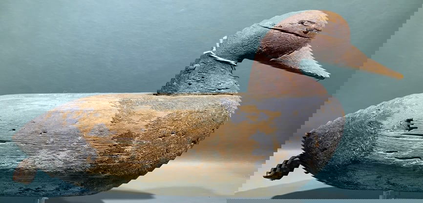 SUSQUEHANNA RIVER CANVASBACK DRAKE DECOY (1 of 7)