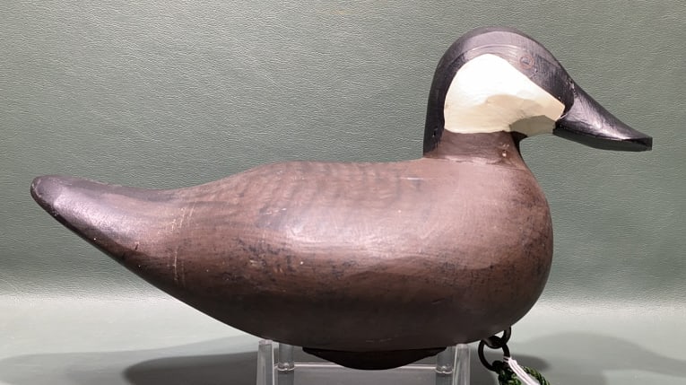 ED GRAY RUDDY DUCK DRAKE: ~