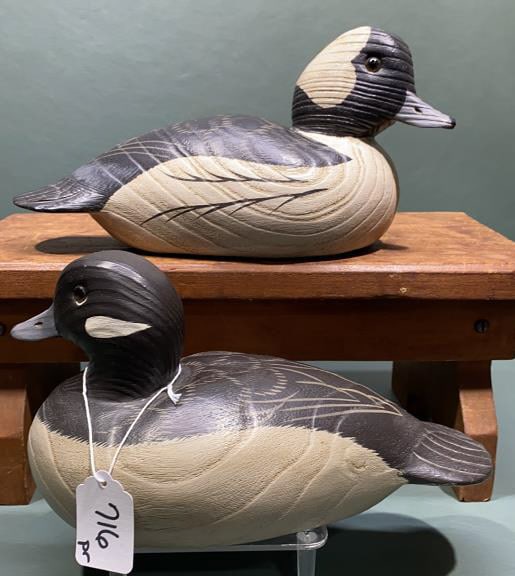 PAIR ROE TERRY BUFFLEHEADS (1 of 6)