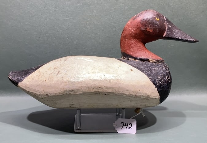BAILEY MOLTZ CANVASBACK DRAKE: 15" LONG
