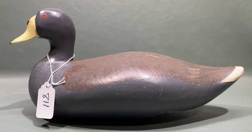 MADISON MITCHELL COOT DECOY (1 of 5)