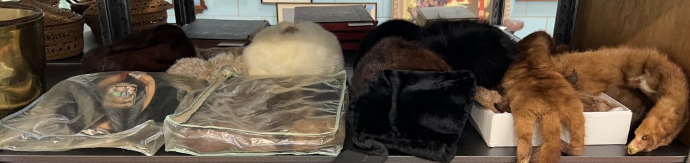 COLLECTION OF FUR HATS, GLOVES, & STOLES (1 of 6)