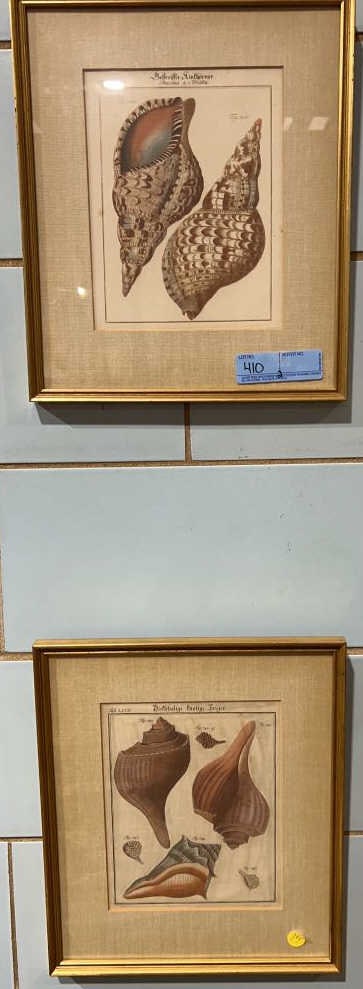 2 ANTIQUE FRAMED SHELL PRINTS (1 of 3)
