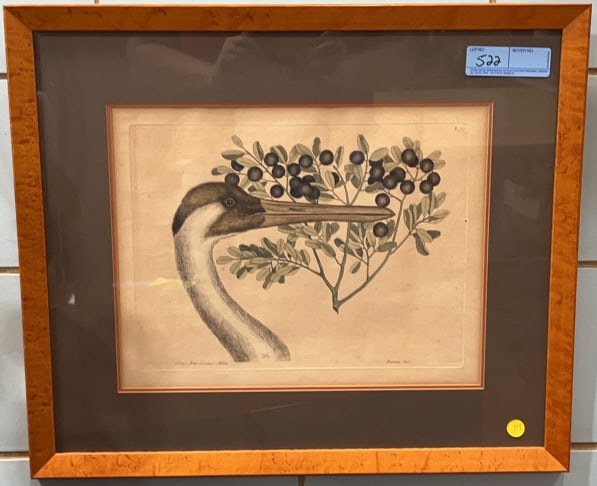 MARK GATESBY "THE HOOPING CRANE" ENGRAVING (1 of 5)