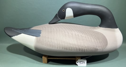 BRIAN BODT SLEEPING CANADA GOOSE