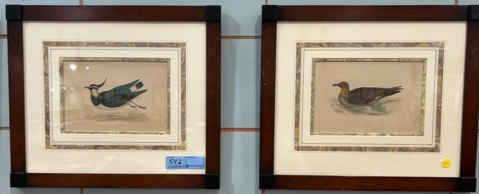 PAIR OF VINTAGE BIRD PRINTS