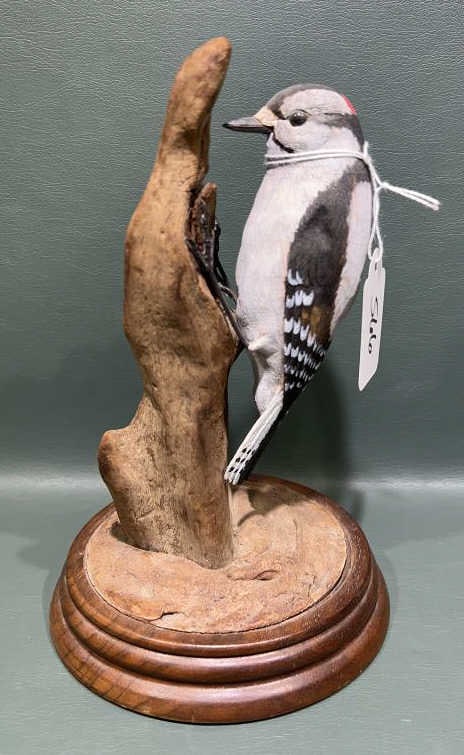 K. HOFMAN CARVED SONG BIRD: ~ 8" X 5"