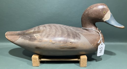 MADISON MITCHELL BLUEBILL HEN